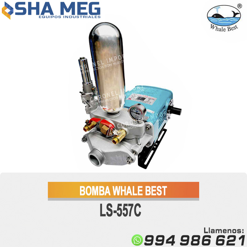 BOMBA-WHALE-BEST-LS-557C.jpg CABEZAL LS-557C WHALE BEST - Imagen 1
