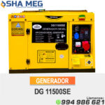 GENERADOR ELECTRICO ENCAPSULADO PETROLERO DG11500SE-T CATTINI