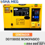 GENERADOR ELECTRICO ENCAPSULADO PETROLERO DG11500SE CATTINI