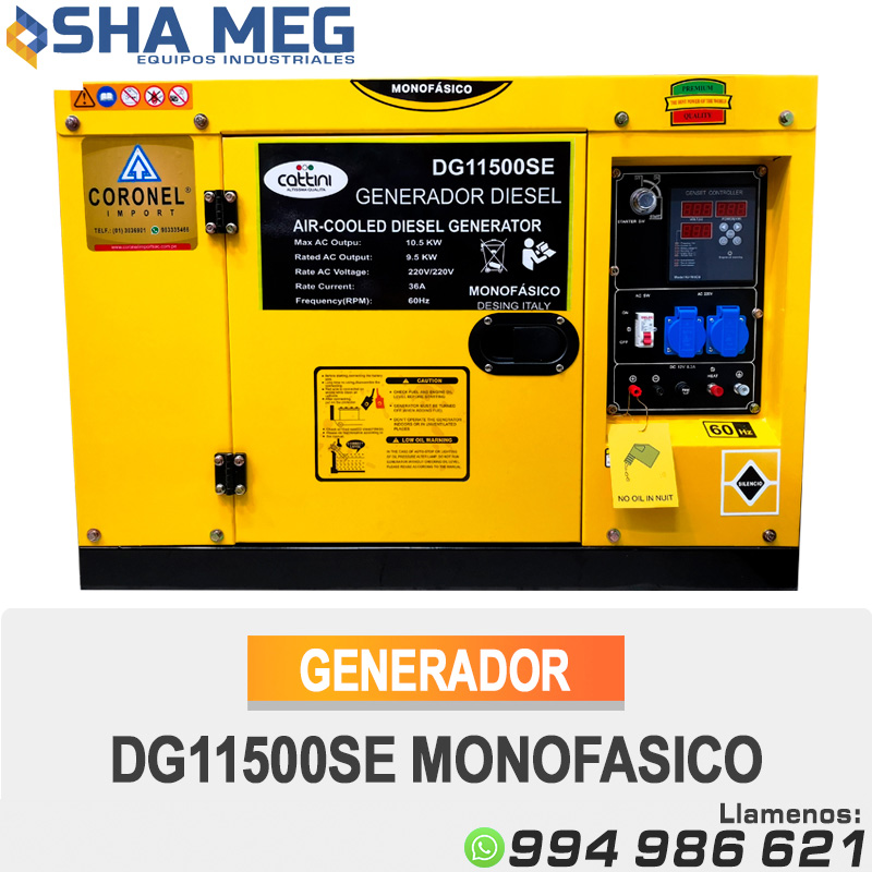 GENERADOR-DG11500SE-MONOFASICO-2.jpg GENERADOR ELECTRICO ENCAPSULADO PETROLERO DG11500SE CATTINI - Imagen 1
