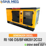 GENERADOR DE CORRIENTE DIESEL RI-100DS CATTINI