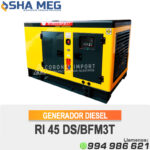 GENERADOR DE CORRIENTE DIESEL RI45DS CATTINI