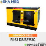 GENERADOR DE CORRIENTE DIESEL RI63DS CATTINI