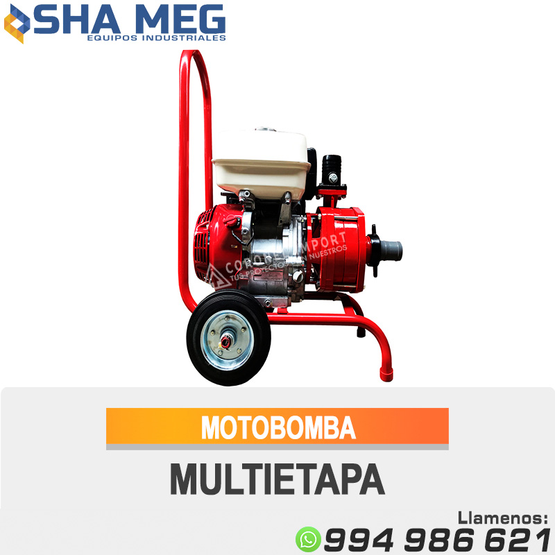 MOTOBOMBA-MULTIETAPA.jpg MOTOBOMBA MULTIETAPA MCMH-13/2G - Imagen 1