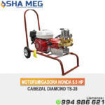 MCHP160-28A MOTOFUMIGADORA ESTACIONARIA CON CARRETA