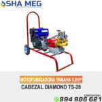 MCYP175-28A MOTOFUMIGADORA ESTACIONARIA CON CARRETA