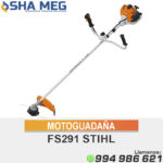 MOTOGUADAÑA FS291 STIHL