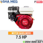 MOTOR ESTACIONARIO GASOLINERO BN-170F BONELLY