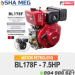 MOTOR ESTACIONARIO DIESEL BL178F BONELLY