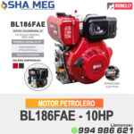 MOTOR ESTACIONARIO DIESEL BL186FAE BONELLY