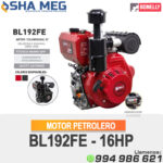 MOTOR ESTACIONARIO DIESEL BL192FAE BONELLY