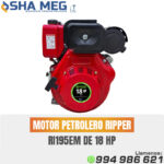 MOTOR ESTACIONARIO DIESEL RI195EM RIPPER