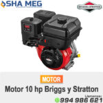 MOTOR ESTACIONARIO 19N132 BRIGGS STRATTON